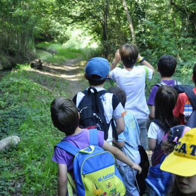 Actividades para niños