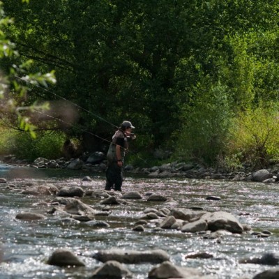 Pesca y caza