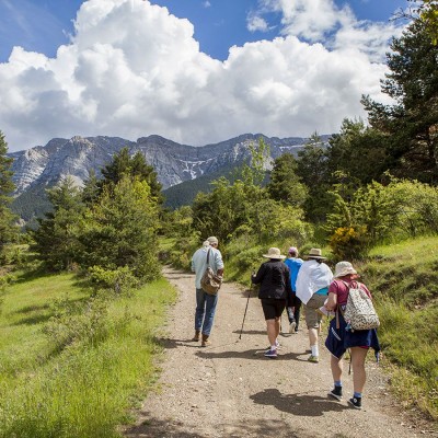 Nordic Walking
