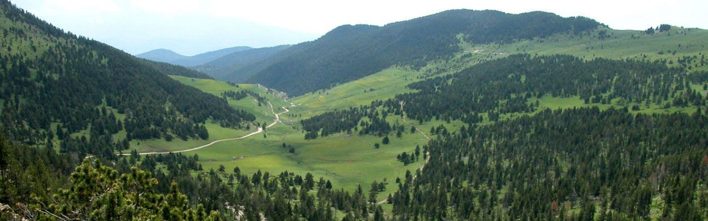Los Pirineos