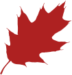 leaves top